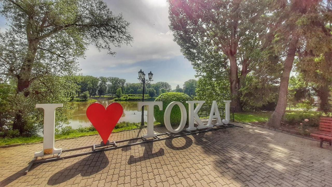 Hotel Kelep Tokaj Bagian luar foto